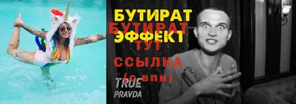 сатива Ростов