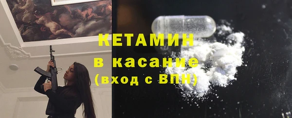сатива Ростов