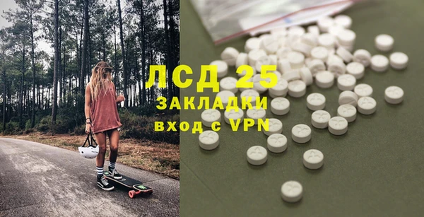 крисы Белая Холуница