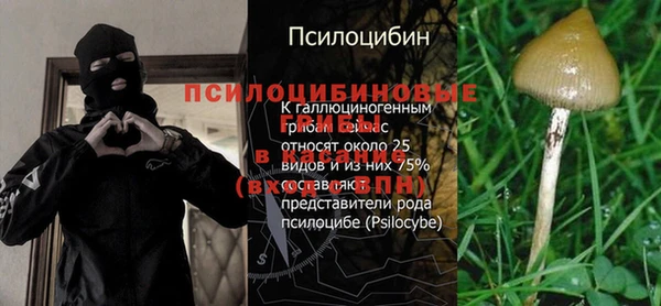 гашик Нижневартовск