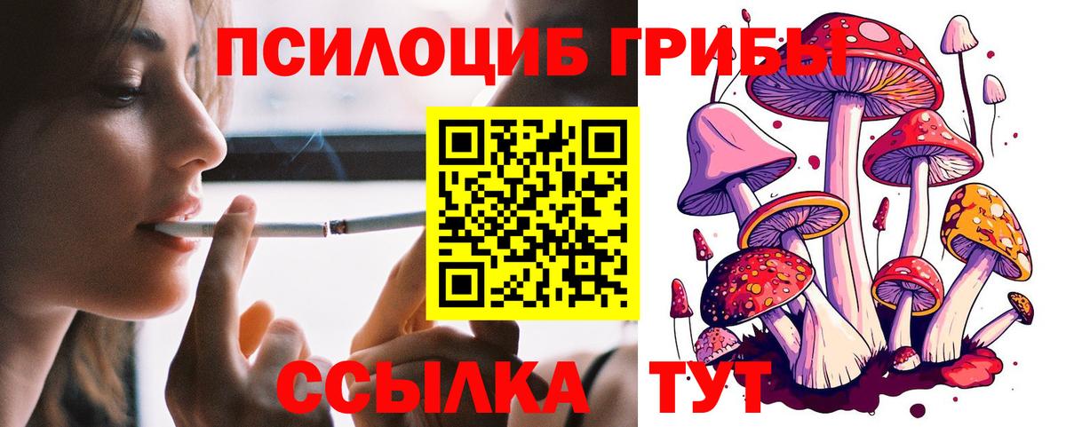 Галлюциногенные грибы MAGIC MUSHROOMS  как найти наркотики  Галлюциногенные грибы мухоморы  Сарапул 
