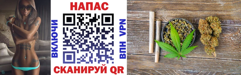 МАРИХУАНА сатива Сарапул